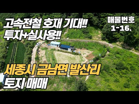 [세종시 토지 매매] 고속전철 호재 기대감~!! 투자+실사용 적합~!! 금남면 발산리 토지