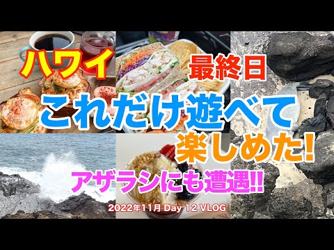 【17】３年半ぶりの夫婦ハワイ旅行  ハワイ最終日でもダイヤモンドヘッドやハロナ潮吹き岩、ハワイカイで目一杯ハワイを満喫 ！　レインボーはダメだったけどモンクシールに遭遇！【Nov. Day12】