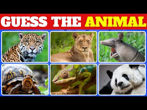 Animal Kingdom Challenge: Can You Guess the 50 Creatures?