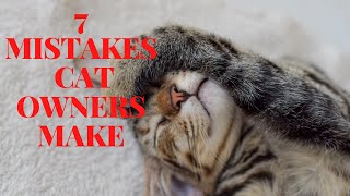 7 Mistakes Cat Owners Make