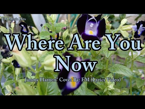 Requested" Where Are You Now - Jimmy Harnen " Cover (Lyrics Video)