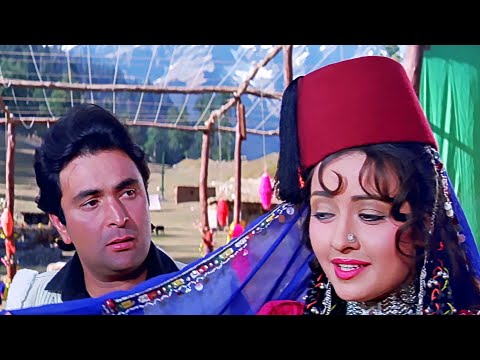 Naar Dana Anar Dana Asa Runi Topiwale : Lata Mangeshkar 90s Song | Zeba, Rishi Kapoor