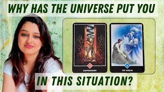 💎Pick a card - Why has the universe put you in this situation🍀Universe's message✨️The Spiritual Bird