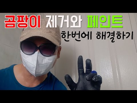 곰팡이제거와 페인트 한방에 해결 #욕실곰팡이#곰팡이제거법