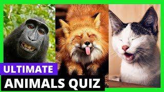 Secrets of the Animal Kingdom Revealed | Fun Quiz! #wildlifeadventure #wildlifeadventures