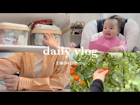 【vlog】ダイソー購入品紹介と収納✨末っ子ついに離乳食スタート🍚私の兄弟紹介と大自然なおばあちゃん家🏠