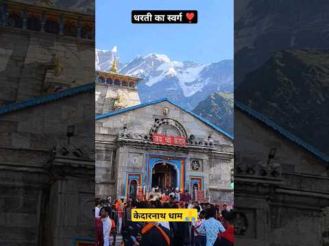 केदारनाथ धाम | Kedarnath Dham Darshan | Kedarnath yatra #kedarnath #kedarnathtemple #kedarnathdham