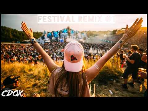 Festival Remix Mashup #1 (Bootleg, EDM, Psytrance, Club Music)