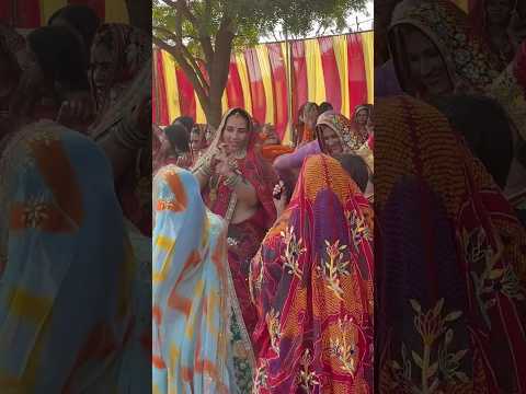 New trending song dance ll #youtubeshorts #shorts #rajasthani #dance #viralvideo