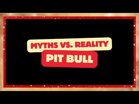 Myths vs. Realities About Pit Bull Terriers 🐶💪 | Separating Fact from Fiction