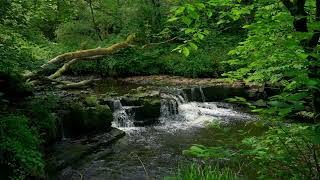 Waterfall series 36 #watersounds #waterfall #whitenoiseforsleeping#whitenoise#watersoundsforsleeping