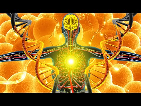 Alpha Waves Heal The Entire Inside Of The Brain (Warning:Very Powerful) Remove Negative Energy #2