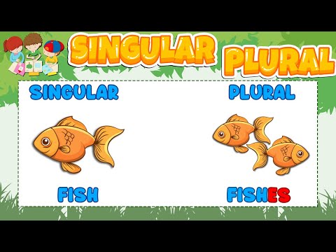 Singular and Plural - Singular & Plural Nouns - Phonics - KIDDIKOO