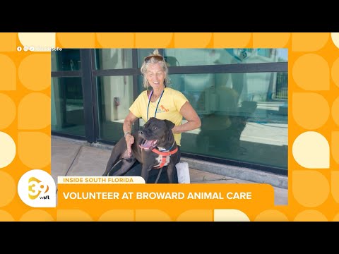 Broward County Animal Care Launches Volunteer Opportunities and “Empty the Shelters” Initiative