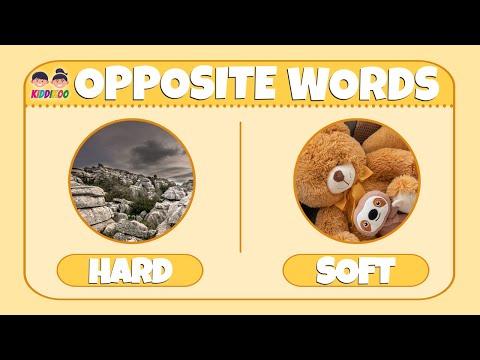 Kids Vocabulary - Opposite words - Learn about opposites - Kids educational videos - KIDDIKOO