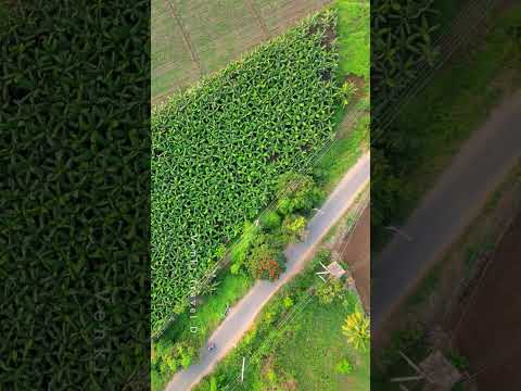 Undavalli Caves areal view #undavallicaves #vijayawada #caves #shorts #ytshorts #travel #djimini3pro