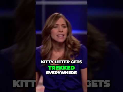 CittiKitty Million Dollar Pitch! #business #shorts #shortvideo #money #millionaire