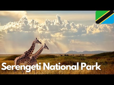 Exploring the Wonders of Serengeti National Park