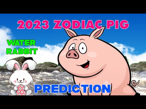 【Master Tsai】Pig Horoscope 2023 - Year of the Rabbit - Concise Forecast【Short】