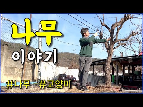 나무 이야기 / 어떤 나무가 있고, 어떤 나무를 심을 계획인가요? / countryside, gardening, countryhouse