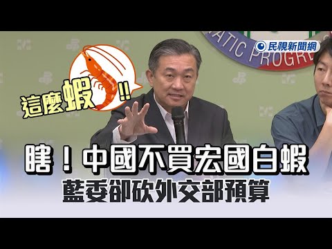 快新聞／瞎！中國不買宏都拉斯白蝦藍委卻砍外交部預算　王定宇嗆：不要「這麼蝦」－民視新聞