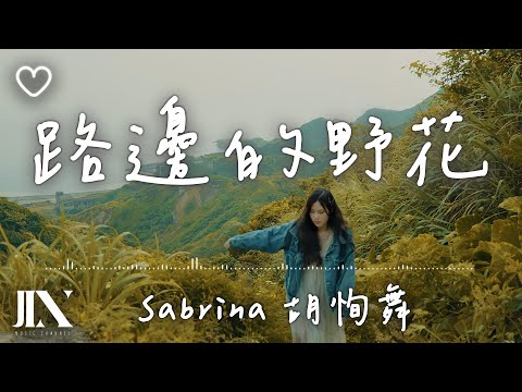 Sabrina 胡恂舞 l 路邊的野花【高音質 動態歌詞 Lyrics】