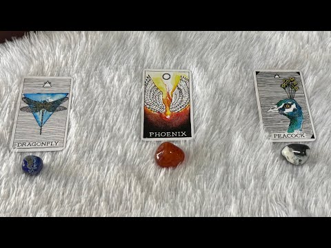 What's Next in Love?! | Pick a Card Tarot Reading | Timeless Reading