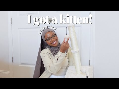 i adopted a kitten.. 🐱🤍 let's prep!