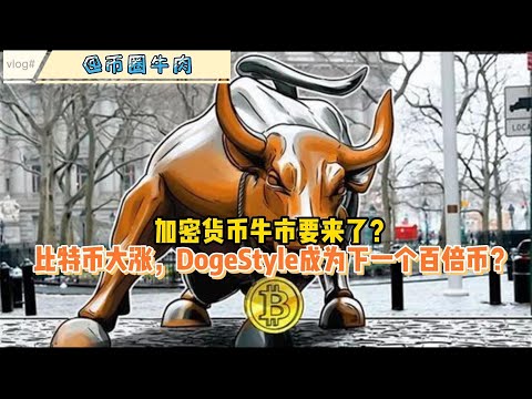 加密货币牛市要来了？比特币大涨，DogeStyle成为下一个百倍币？