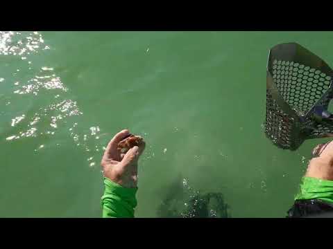 Metal Detecting Clearwater Beach Florida