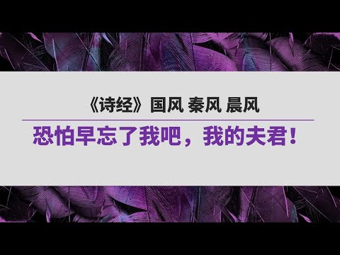 《诗经》（132）国风 秦风 晨风 | 恐怕早忘了我吧，我的夫君！