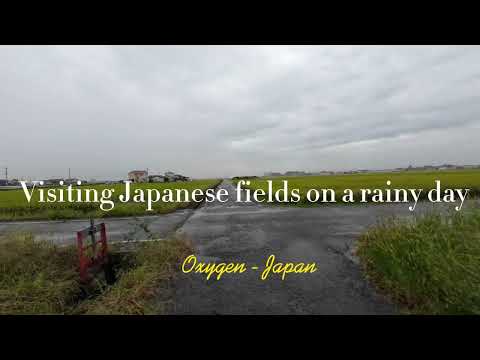 Cycling in Japan / Visiting Japan fields on a rainy day - Journeys in Japan #14