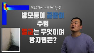 단열#4 / 방모퉁이 곰팡이 / 열교로 인한 결로현상 / 건축공학 / 토목 / 구조 설계