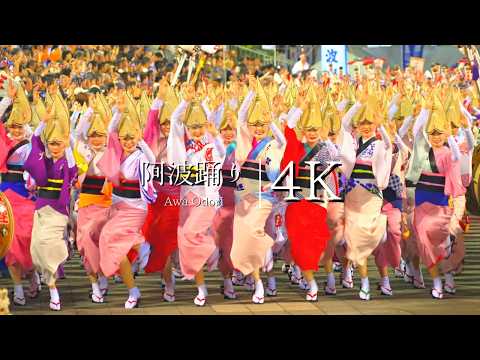 [Awa Odori 2024] Night where the Japanese soul dances, attracting attention from around the world 4K