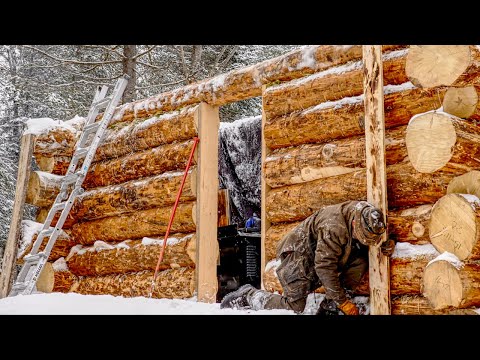 Mudroom for the Cabin, Expanding the Food Forest