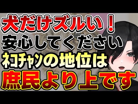 【猫の雑学】おネコ様はお怒りのようです…刑務所の保護猫ちゃんと猫神様と猫の小話【 切り抜き 民俗学 天道巳狐 Vtuber マシュマロ 】