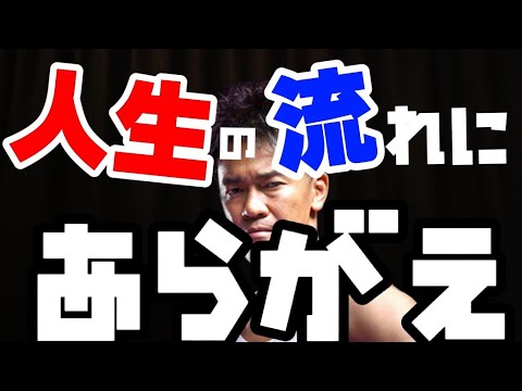 【就活の王】社会の常識を真に受けて行動するな【武井壮】【切り抜き】