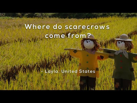 Where do scarecrows come from?