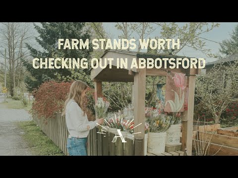 Farm Stands Worth Checking Out in Abbotsford