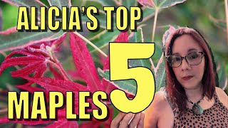 Alicia's Top 5 Japanese Maples @ Mr.Maple Open House!