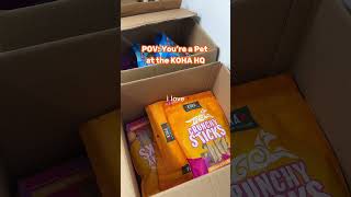 Pet’s love visiting the KOHA HQ! #dogfood #dog #doglover #petlife #bocaraton