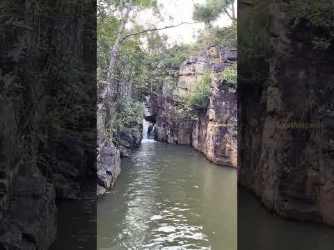 Tirumala #tirumala #waterfall #lordbalaji