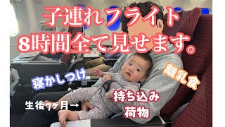 初めての0歳児子連れフライト8時間【ハワイ→日本】