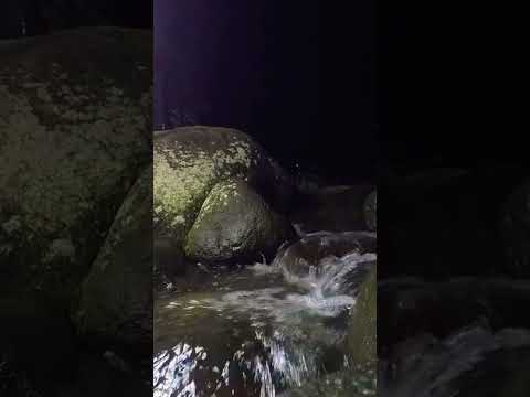 The beautiful flow of river water at night #river #riversounds #riversoundsrelaxing #soothingsound