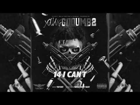 FBG YOUNG "I CANT" OFF THE GO DUMB 2 MIXTAPE