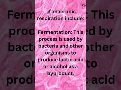 (part 2)What are the two types of Cellular Respiration? #trending #shorts #viral #anaerobic