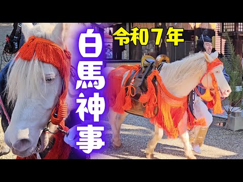 白馬神事 令和7年 / 住吉大社 2025年1月7日 白雪号