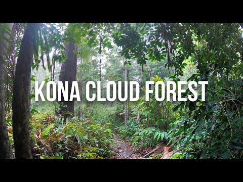 Kona Cloud Forest Sanctuary Hike & Nature Trail