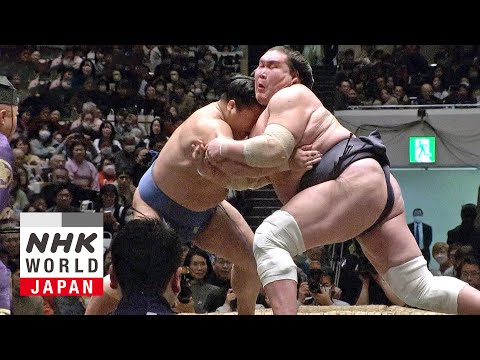 GRAND SUMO: Day 1 of the January 2025 Tournament - GRAND SUMO Highlights