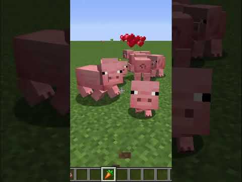 Minecraft Loving Pigs #Shorts